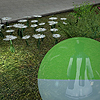 BALL RACE ORB